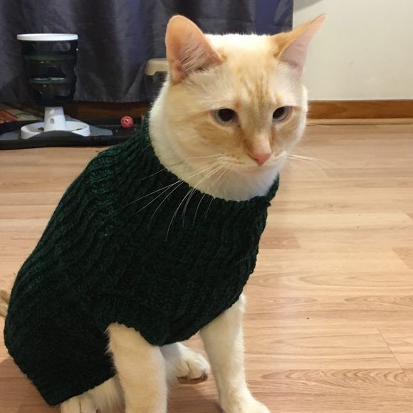 Meet your Posher, Lepetit - Picture 13 of 14